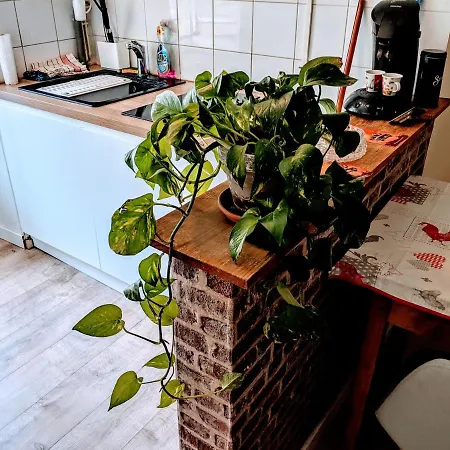 Equipe Hyper Centre De Apartment