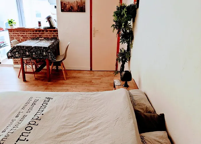 Appartement Equipe Hyper Centre De *